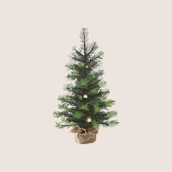 Meet your Posher, Lily - Picture 1 of 1